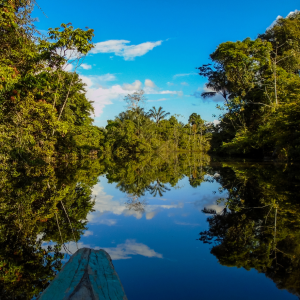 Amazônia - um mergulho cultural e literário