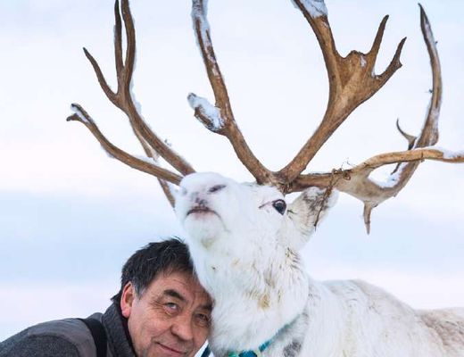 Criador Sámi abraçado a uma rena branca